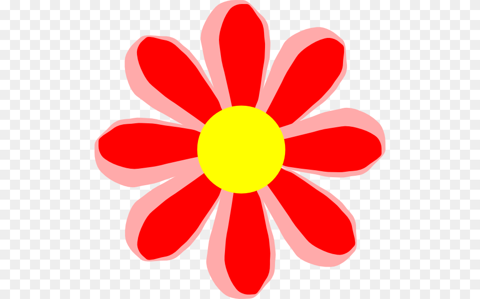 Flowers Cartoon, Daisy, Flower, Petal, Plant Free Transparent Png