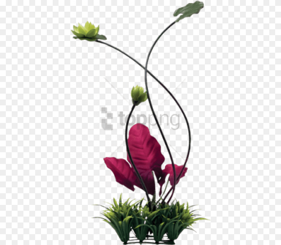 Free Fluval Chi Lily Pad And Plant Grass Ornament Fluval Chi Aquarium, Graphics, Art, Flower, Flower Arrangement Png