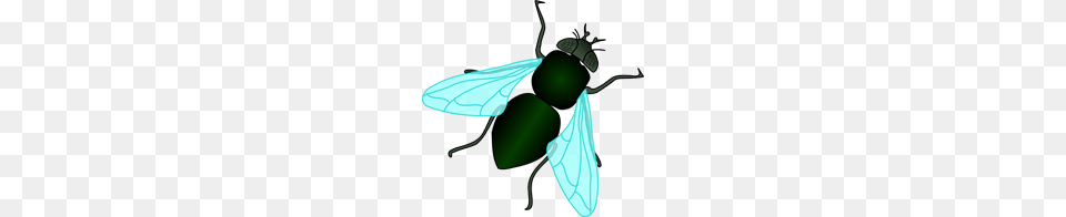 Fly Clipart Fly Icons, Animal, Invertebrate, Insect, Electrical Device Free Png Download