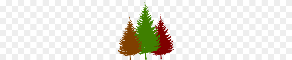 Free Forest Clipart Forest Icons, Conifer, Fir, Pine, Plant Png Image