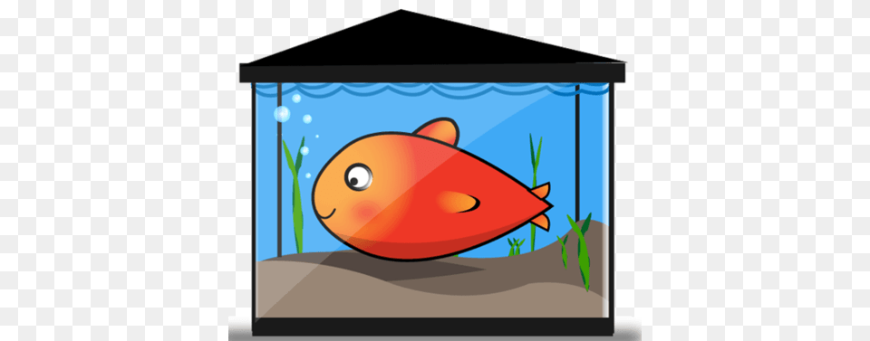 Free Free Vector Gold Fish Tank Clipart And Vector Graphics, Animal, Sea Life Png Image