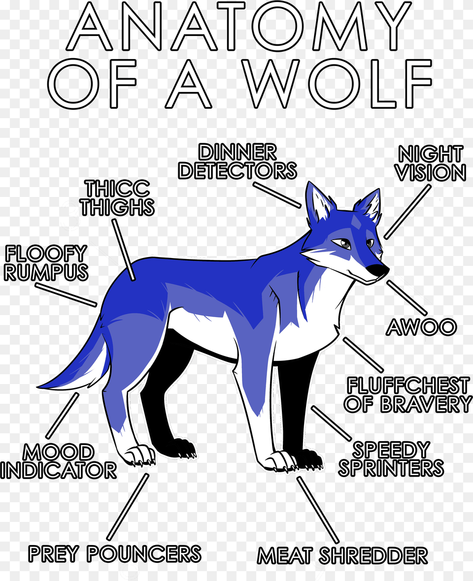 Furry Wolf Base, Animal, Canine, Dog, Mammal Free Png