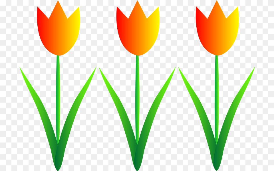 Free Garden Clip Art, Flower, Plant, Tulip, Petal Png