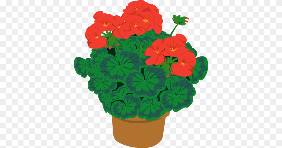 Geramium In A Pot Clipart And Vector Graphics, Flower, Geranium, Plant Free Transparent Png