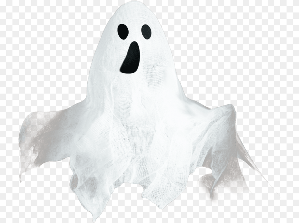 Free Ghost Transparent Darkness, Animal, Bird, Paper Png