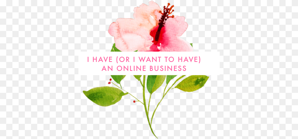 Gift For Online Business Owners Business, Flower, Plant, Anther, Hibiscus Free Transparent Png