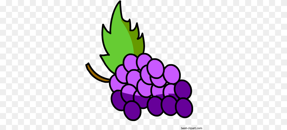 Grapes Clip Art Grape, Food, Fruit, Plant, Produce Free Transparent Png
