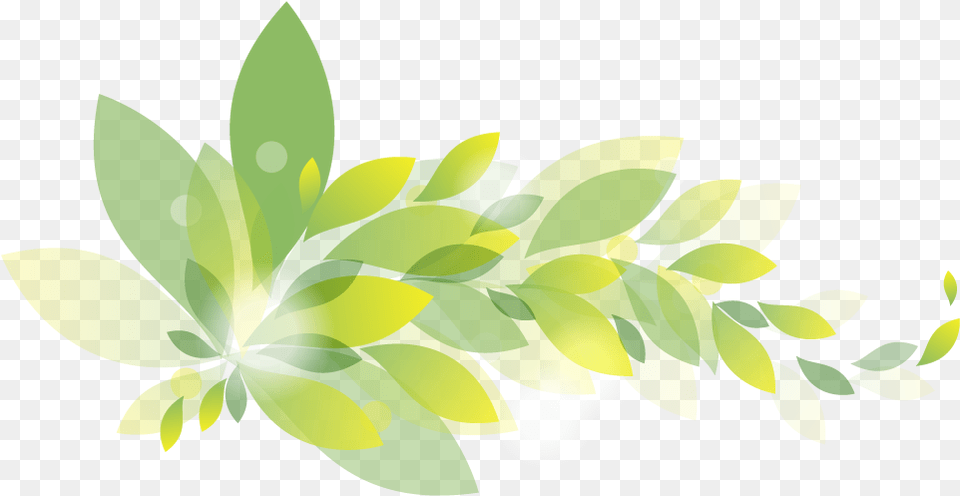 Graphic Design Templates Images Background Illustration, Herbs, Pattern, Leaf, Herbal Free Png