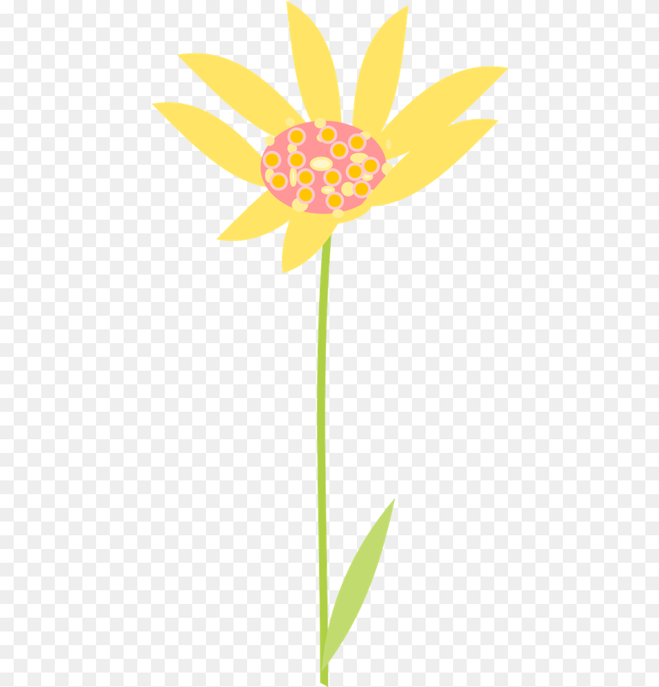 Free Graphics Of Flowers Download Clip Art African Daisy, Flower, Plant, Petal, Anther Png Image