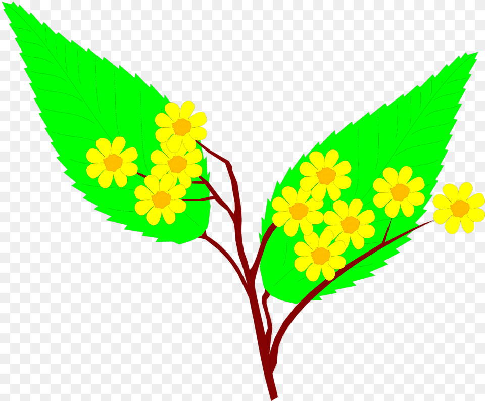 Green Flowers Clip Art Yellow Green Flowers Clipart, Herbal, Herbs, Leaf, Plant Free Png Download