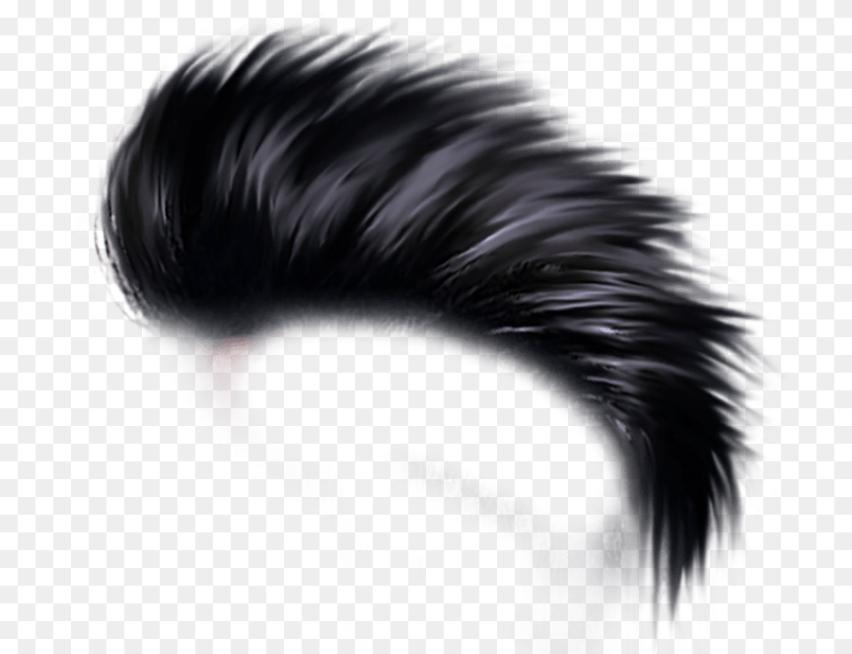 Free Hair Transparent Hd Hair Style, Adult, Female, Person, Woman Png Image