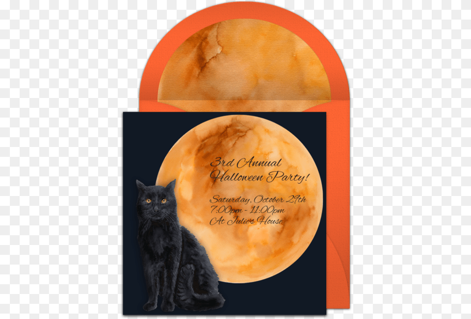 Free Halloween Online Invitations Black Cat, Animal, Mammal, Pet, Black Cat Png