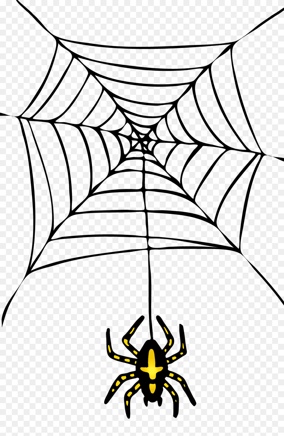 Halloween Spider Pictures, Animal, Bee, Insect, Invertebrate Free Png