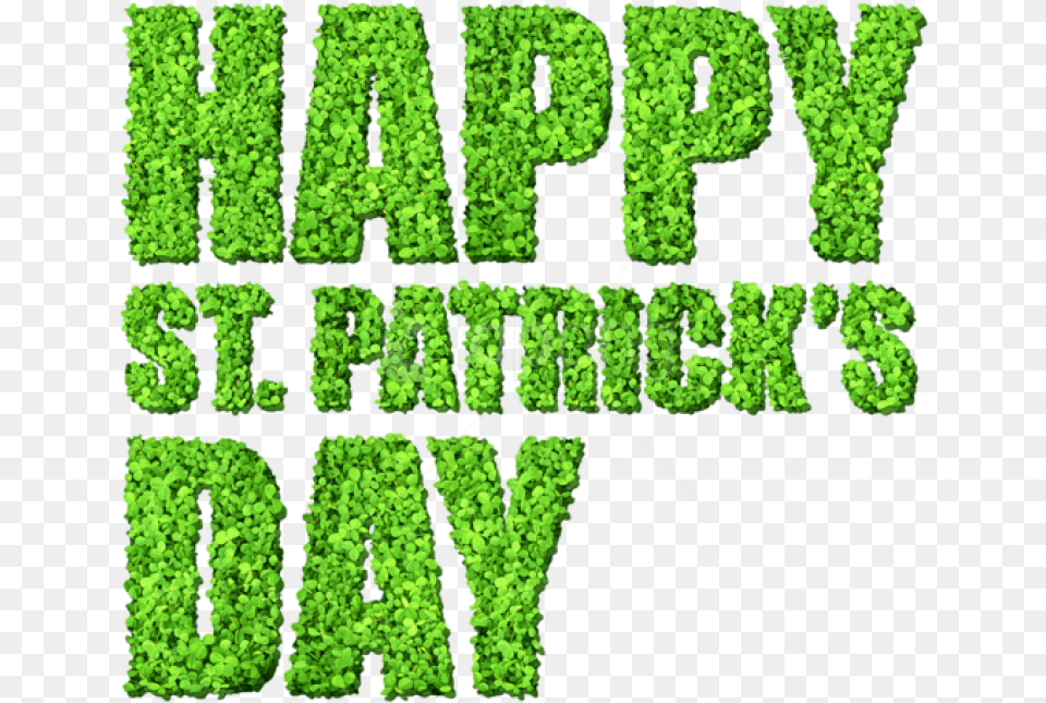Happy St Patricks Day With Clovers Images St Patrick Day Transparent, Green, Moss, Plant, Vegetation Free Png Download