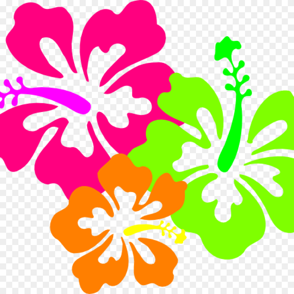 Free Hawaiian Clip Art Spring Clipart House Clipart Online Download, Flower, Hibiscus, Plant Png