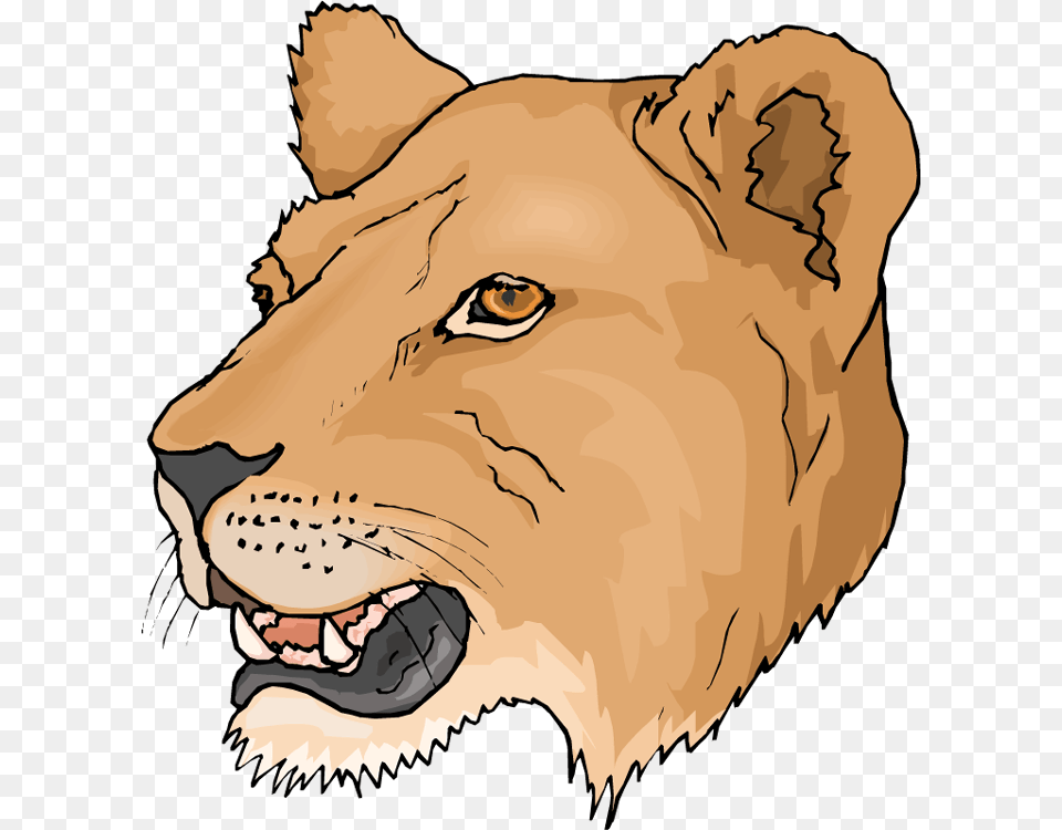 Head Lioness Clipart Lioness Clipart, Animal, Lion, Mammal, Wildlife Free Png Download