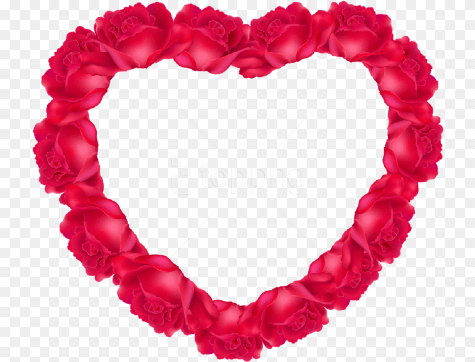 Free Heart Of Roses Heart Of Roses, Carnation, Flower, Petal, Plant Png Image