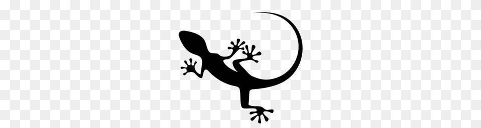 Free High Quality Lizard Icon Png Image
