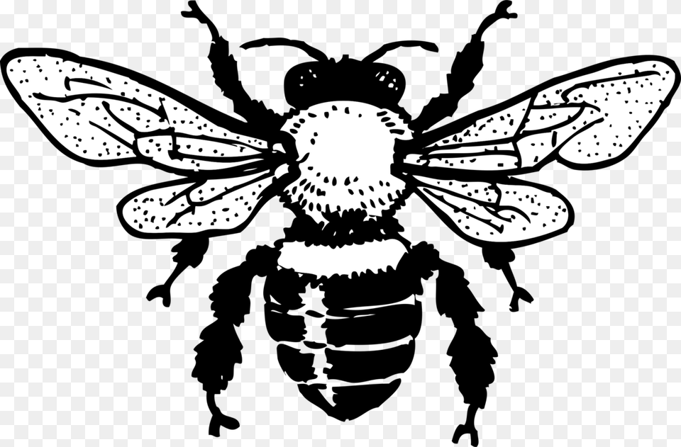 Free Honey Bee Honey Bee Black And White, Animal, Invertebrate, Insect, Wasp Png Image