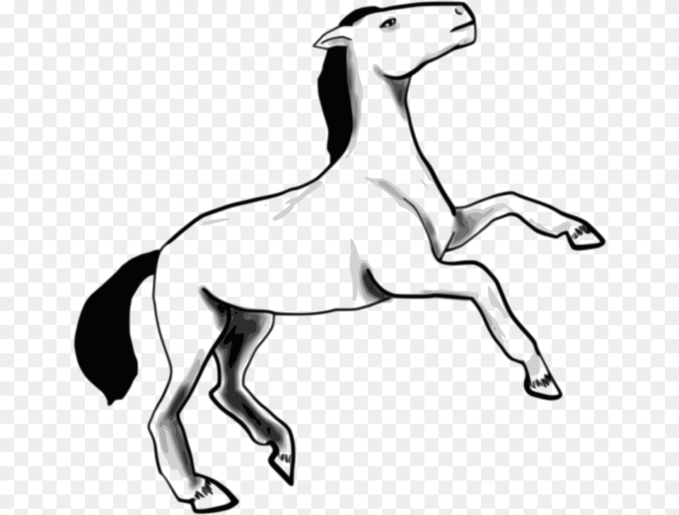 Free Horse, Stencil, Adult, Person, Female Png Image