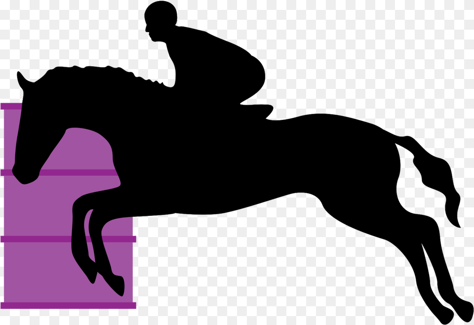 Free Horse Riding With Transparent Background Bridle, Purple, Silhouette, Person Png