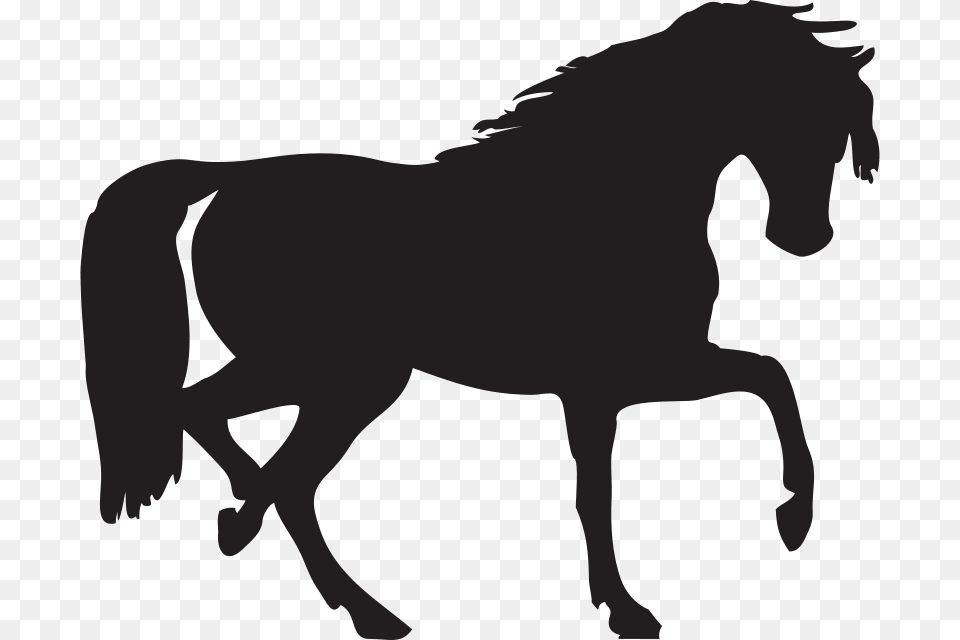 Horse Silhouette You Can Use To Make An Cricut, Animal, Colt Horse, Mammal, Person Free Png Download