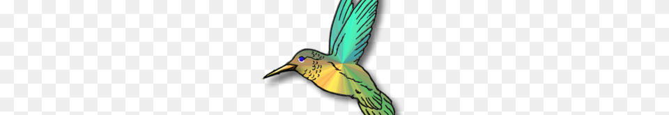 Free Hummingbird Clipart Hummingbird Clip Art Hummingbird Clip Art, Animal, Beak, Bird Png Image