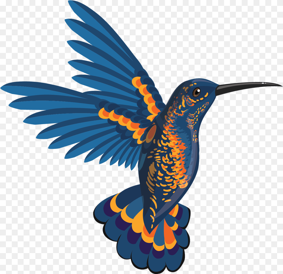 Hummingbird Konfest Birds Flying Beautiful, Animal, Bird Free Png Download