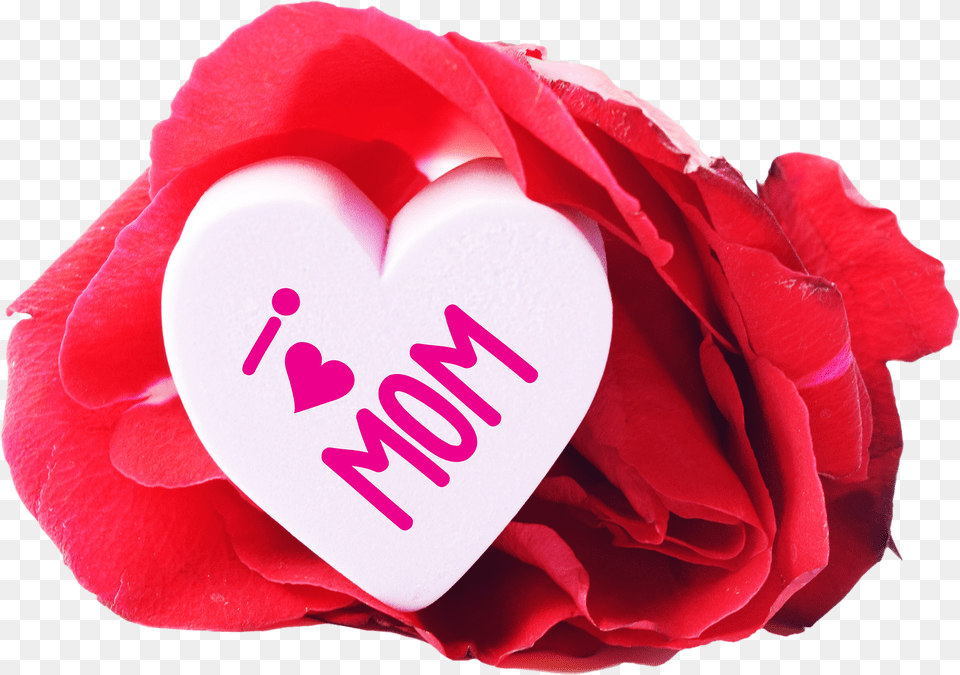I Love Mom Heart And A Rose Image Happy Birthday My Mother Free Png