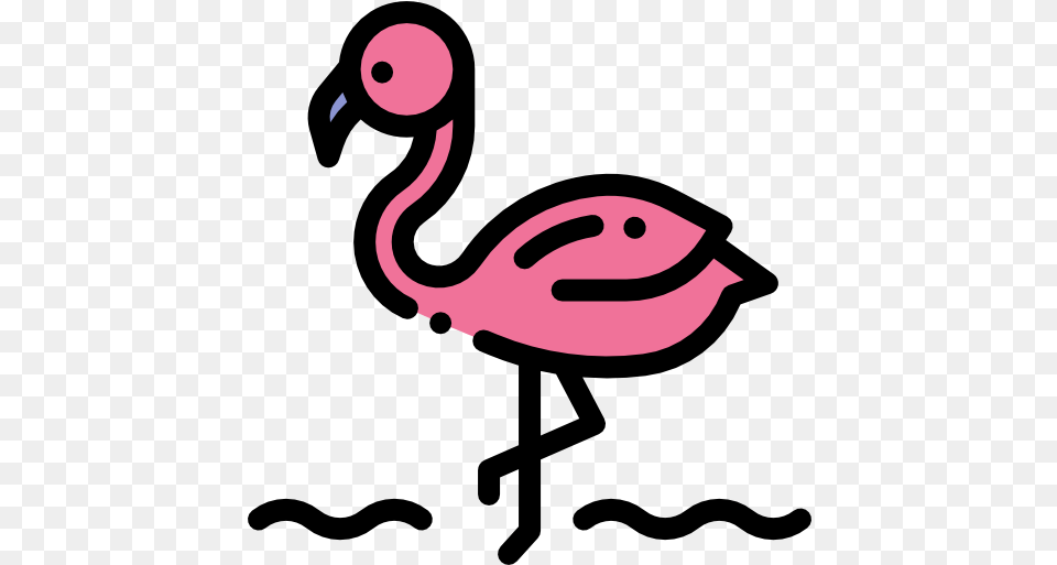 Icon Dot, Animal, Beak, Bird, Flamingo Free Png