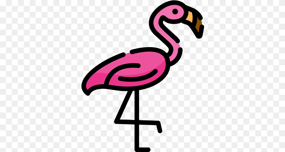 Free Icon Flamingo Girly, Animal, Beak, Bird Png Image