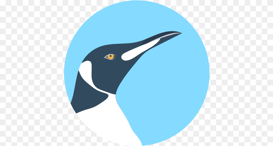 Free Icon Penguin Icon Zoology, Animal, Beak, Bird, Fish Png Image