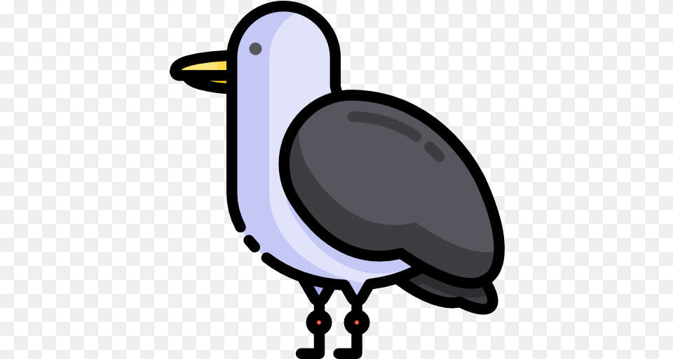 Icon Seagull Flightless Bird, Person Free Transparent Png