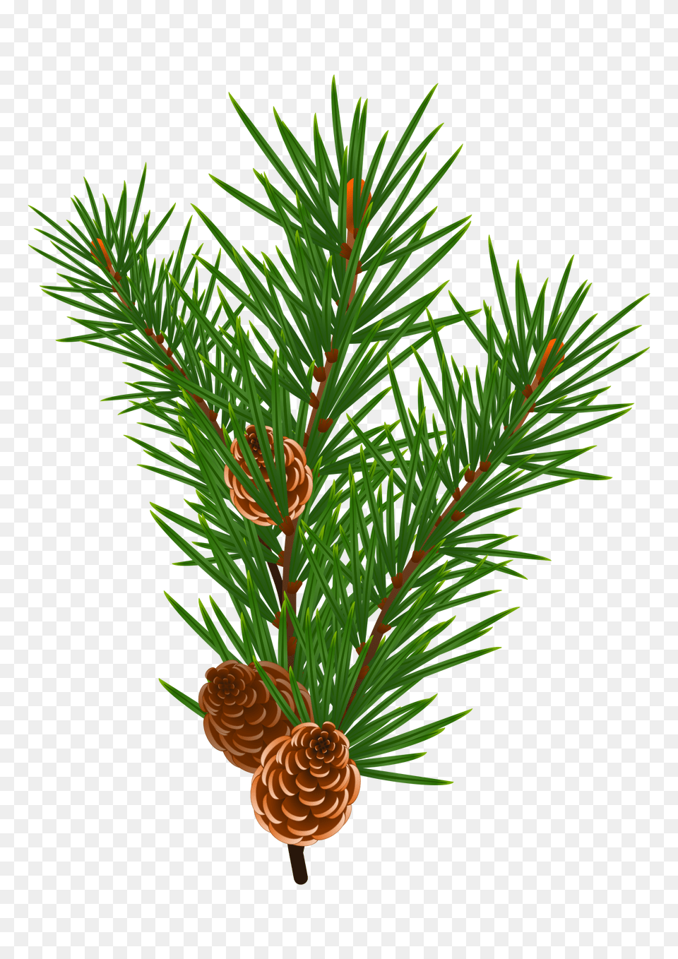 Icons Design Of Pine Branch Sweet Smell Of Christmas Printables, Conifer, Plant, Tree, Larch Free Transparent Png