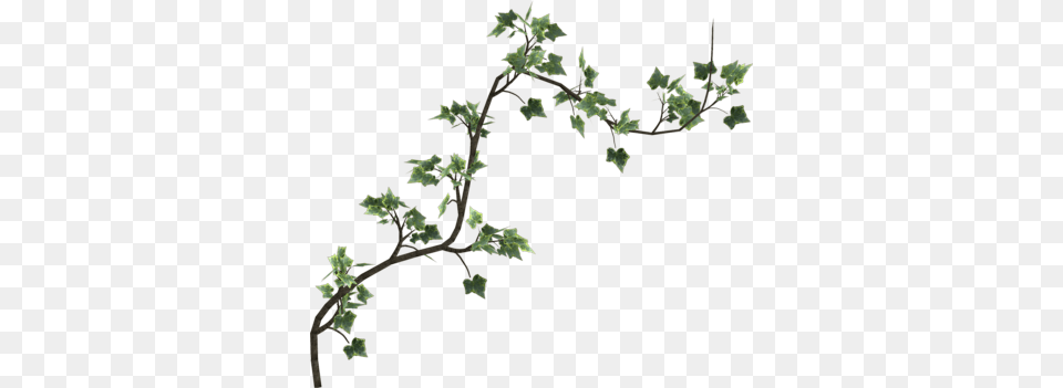 Icons Poison Ivy Vine, Plant, Potted Plant, Tree, Green Free Png