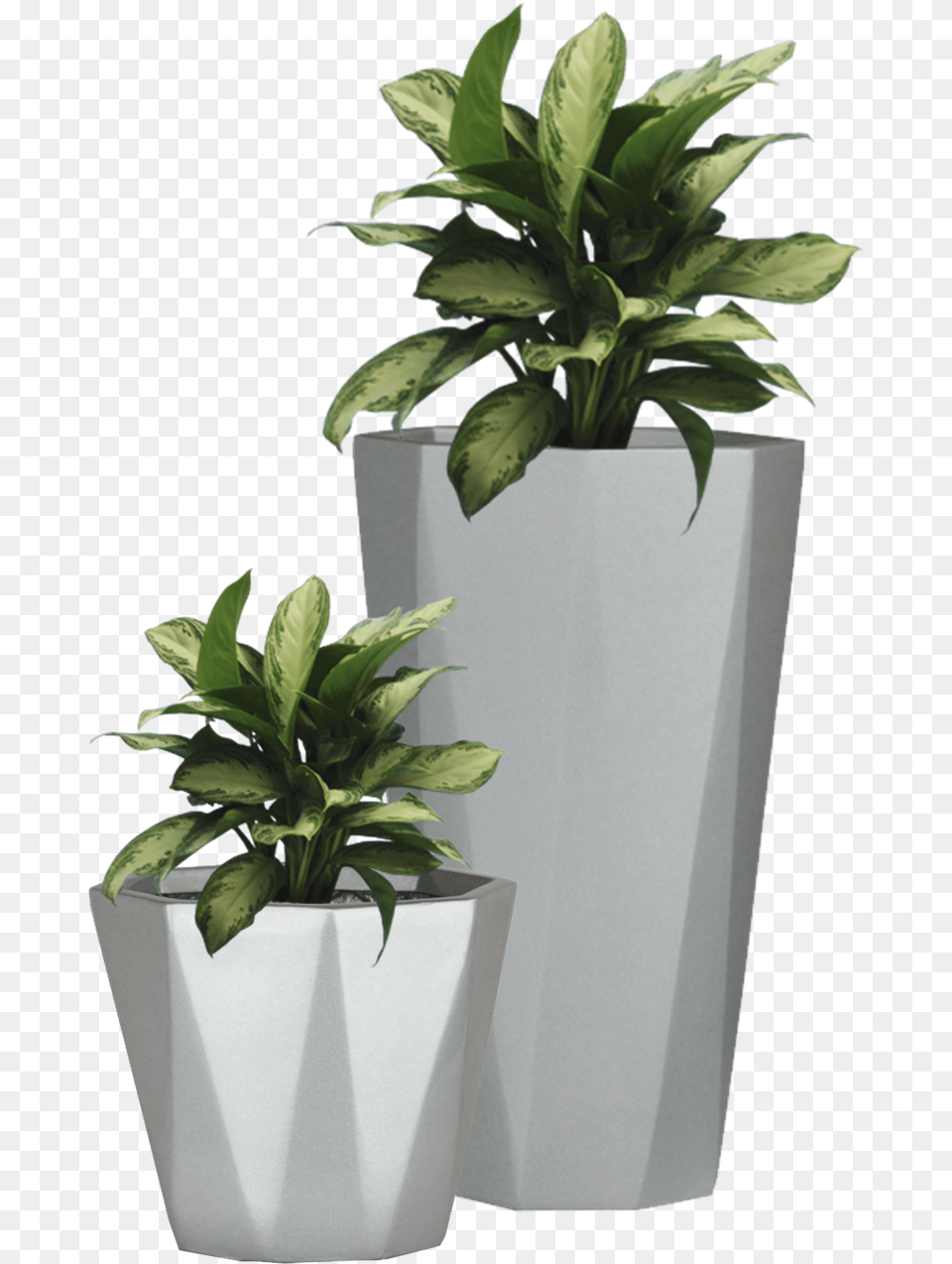 Icons Potted Plants, Jar, Leaf, Plant, Planter Free Png Download