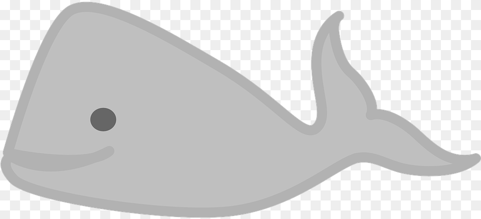 Image On Pixabay Gray Whale Clipart, Animal, Sea Life, Mammal, Beluga Whale Free Transparent Png