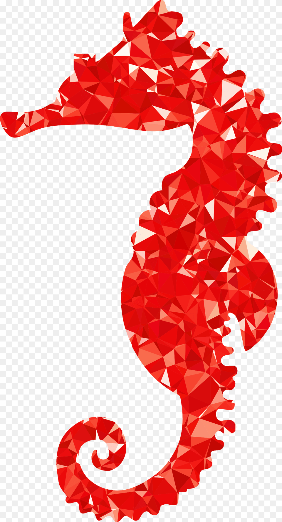 Free Images Download Seahorse Red Seahorse, Animal, Sea Life, Mammal Png