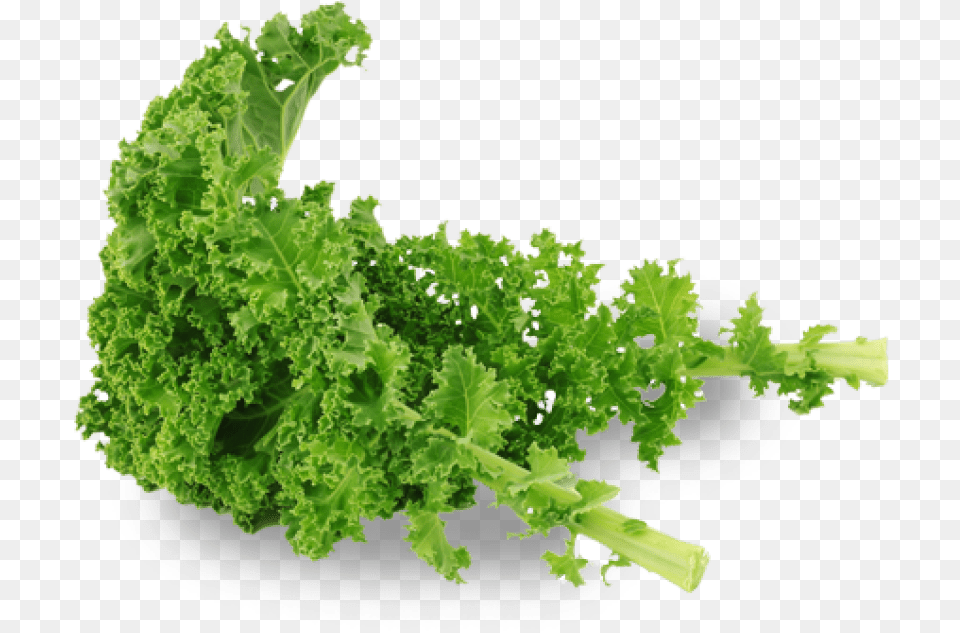 Free Kale Images Transparent Kale, Food, Leafy Green Vegetable, Plant, Produce Png Image