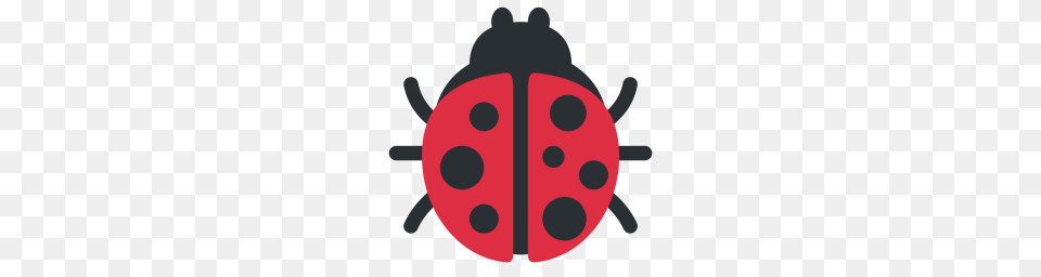 Free Lady Beetle Insect Ladybird Ladybug Icon Download, Animal, Bear, Mammal, Wildlife Png Image