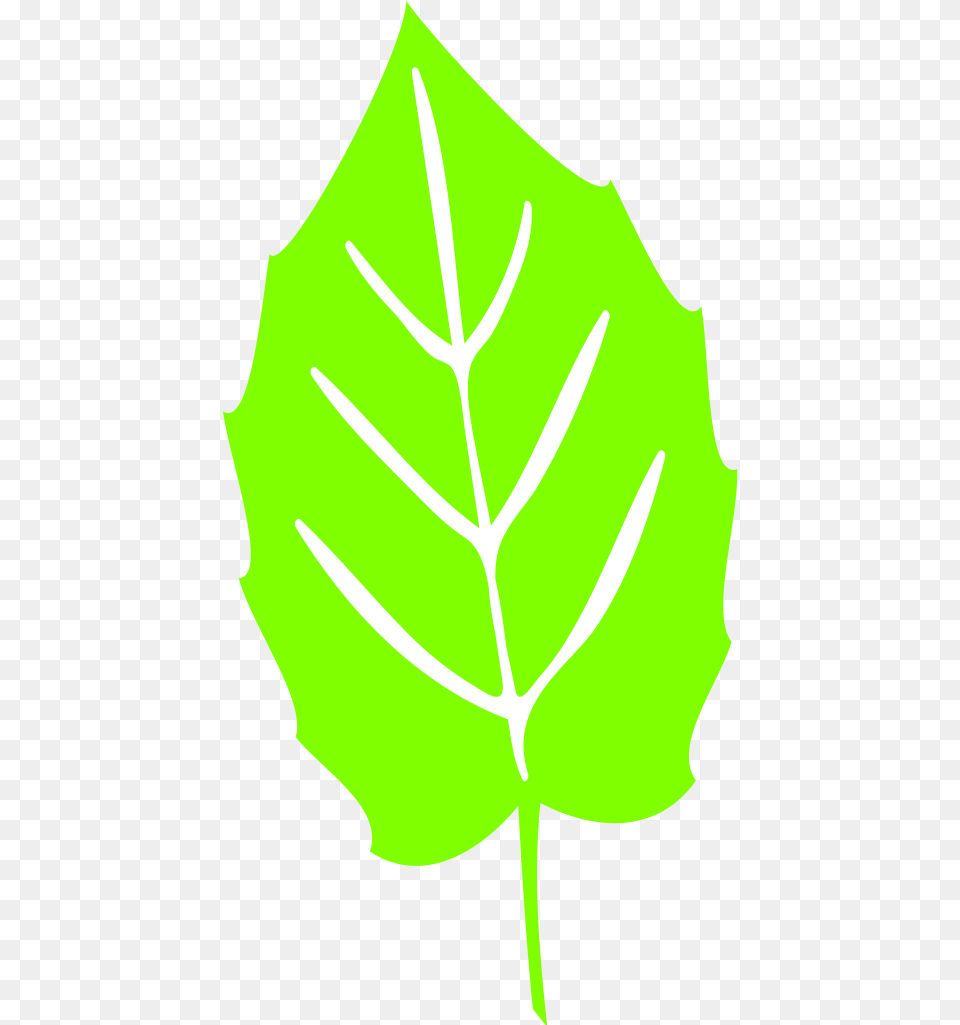 Leaf Symbol Download Clip Art Sunflower Leaf Svg, Plant, Tree, Person, Oak Free Png