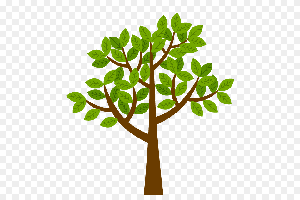 Free Leaves And Trees Clip Art Cartoon Clipart, Leaf, Plant, Tree, Potted Plant Png
