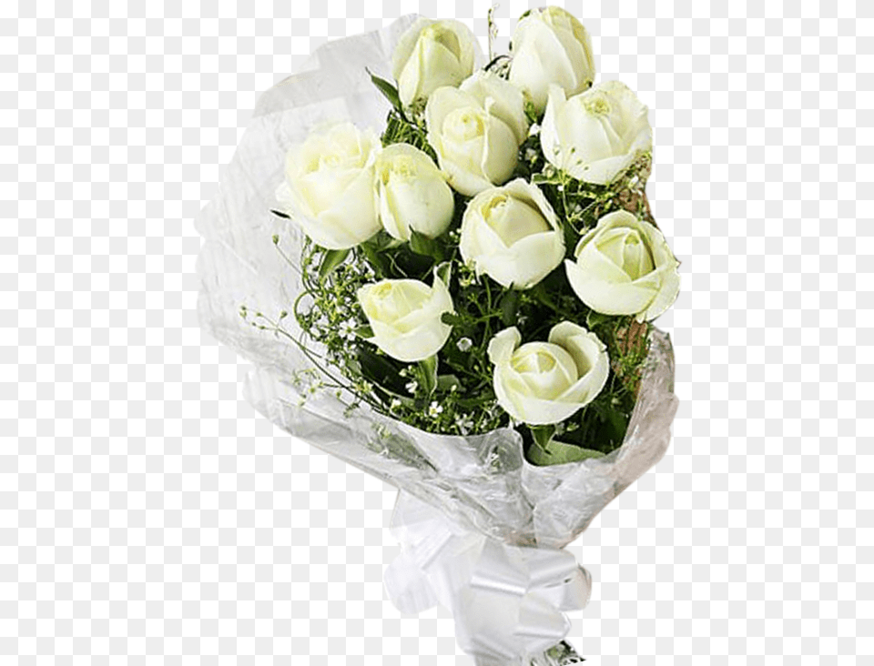 Library Bouquet White Rose Garden Roses, Flower, Flower Arrangement, Flower Bouquet, Plant Free Transparent Png