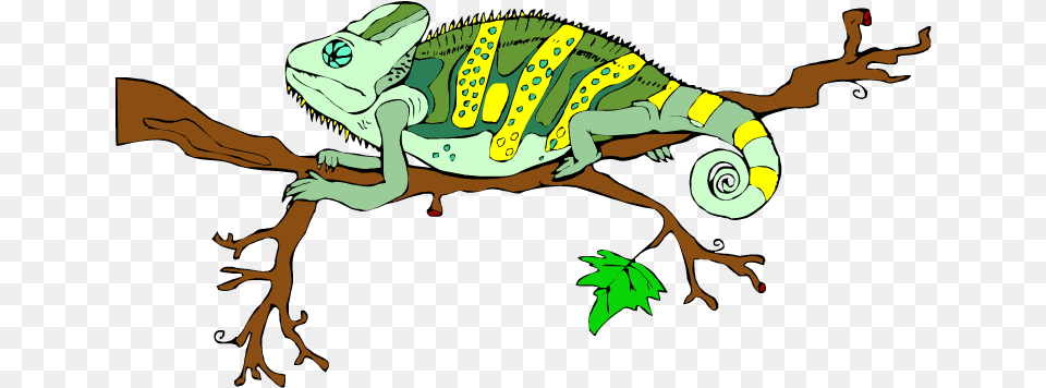 Lizard Clipart Lizard Is On The Tree Clipart, Animal, Iguana, Reptile, Dinosaur Free Png