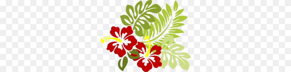 Luau Clip Art, Plant, Flower, Hibiscus, Baby Free Transparent Png