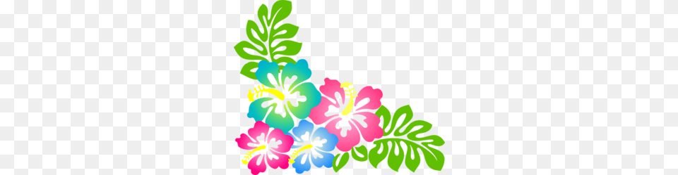 Free Luau Clipart, Flower, Plant, Hibiscus, Face Png