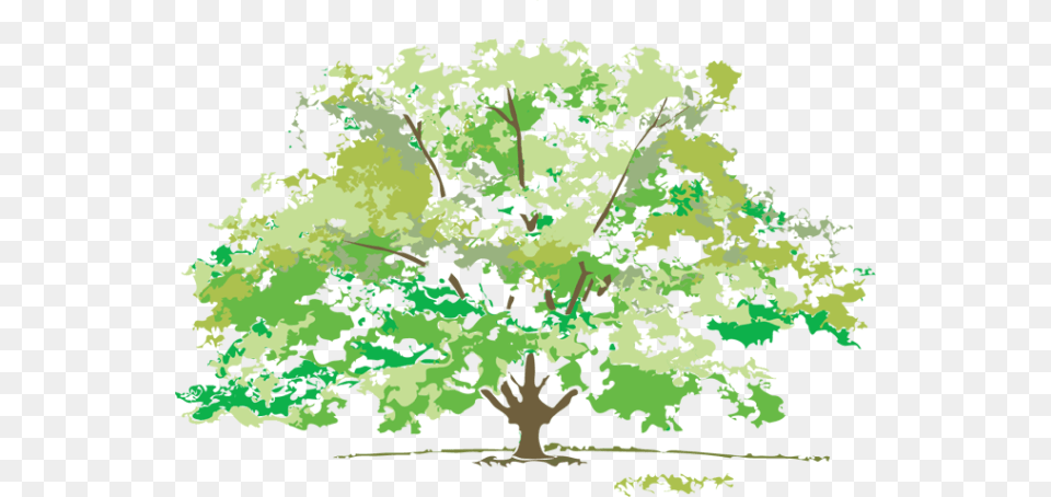 Free Maple Tree Clip Art Design Summer Nature Clip Art, Vegetation, Plant, Painting, Green Png Image