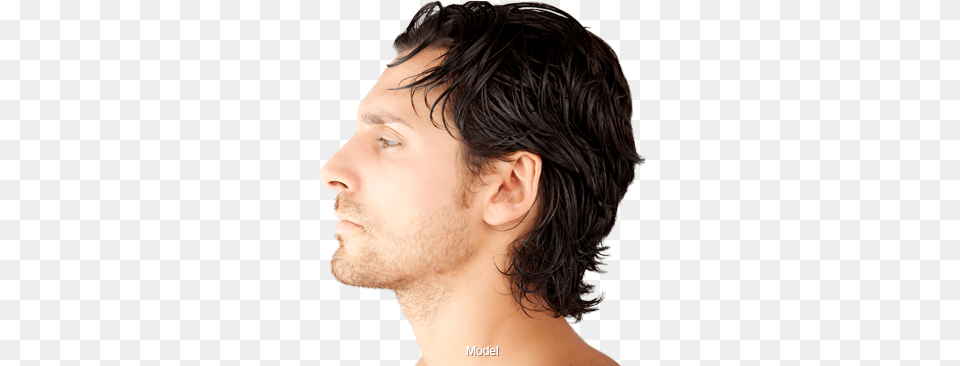 Free Men Hairstyle Images Download Lace Wig, Adult, Person, Man, Male Png