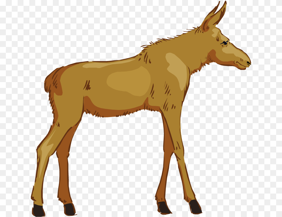 Moose Clipart, Animal, Mammal, Horse, Donkey Free Transparent Png