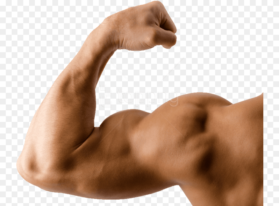 Free Muscle Transparent, Arm, Body Part, Person, Adult Png Image